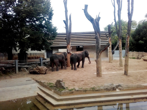 Wilhelma Stuttgart Zoo – Foto 5