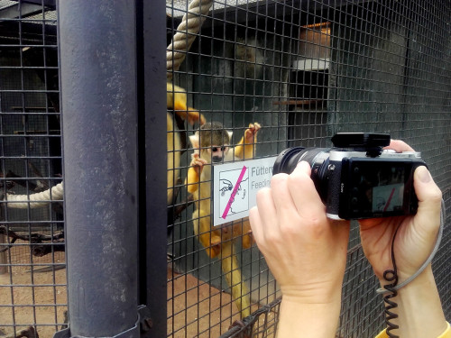 Wilhelma Stuttgart Zoo – Foto 6