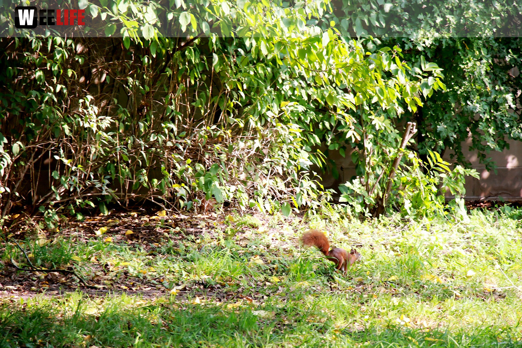 Wilhelma Stuttgart Zoo
