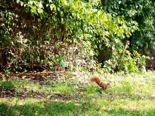 Wilhelma Stuttgart Zoo – Foto 9