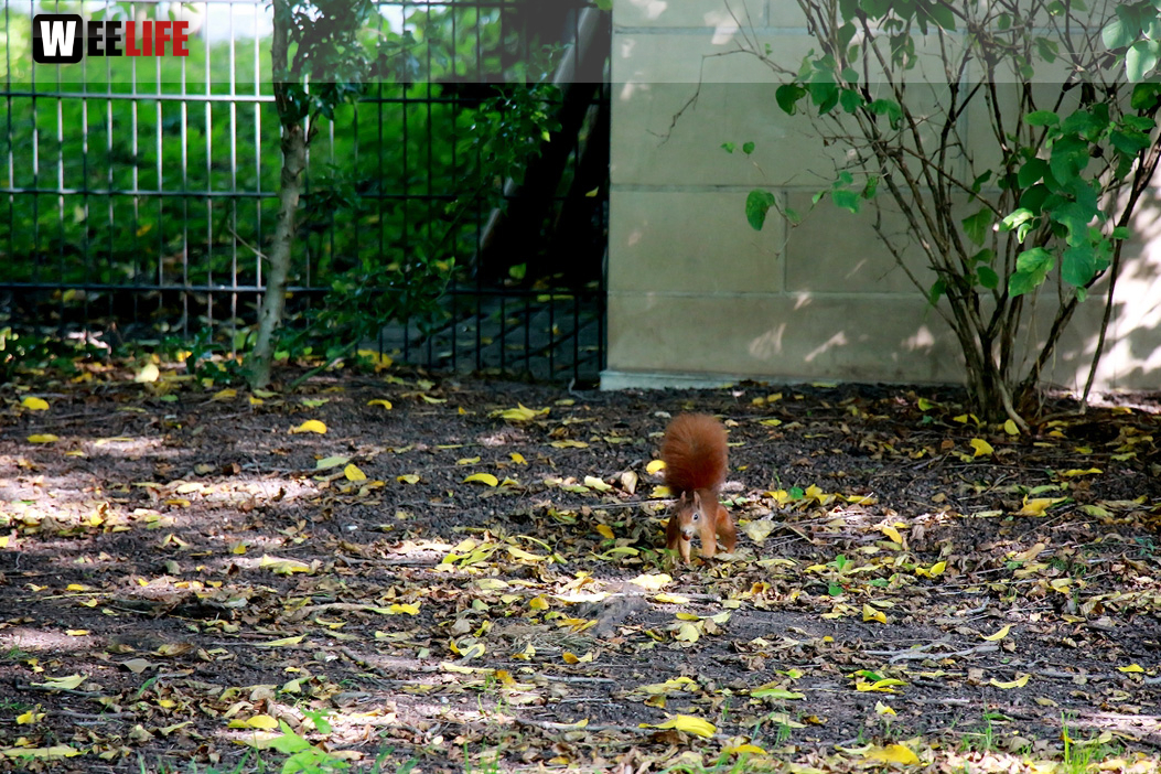 Wilhelma Stuttgart Zoo
