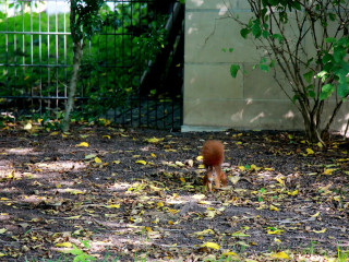Foto 205403 im Album
