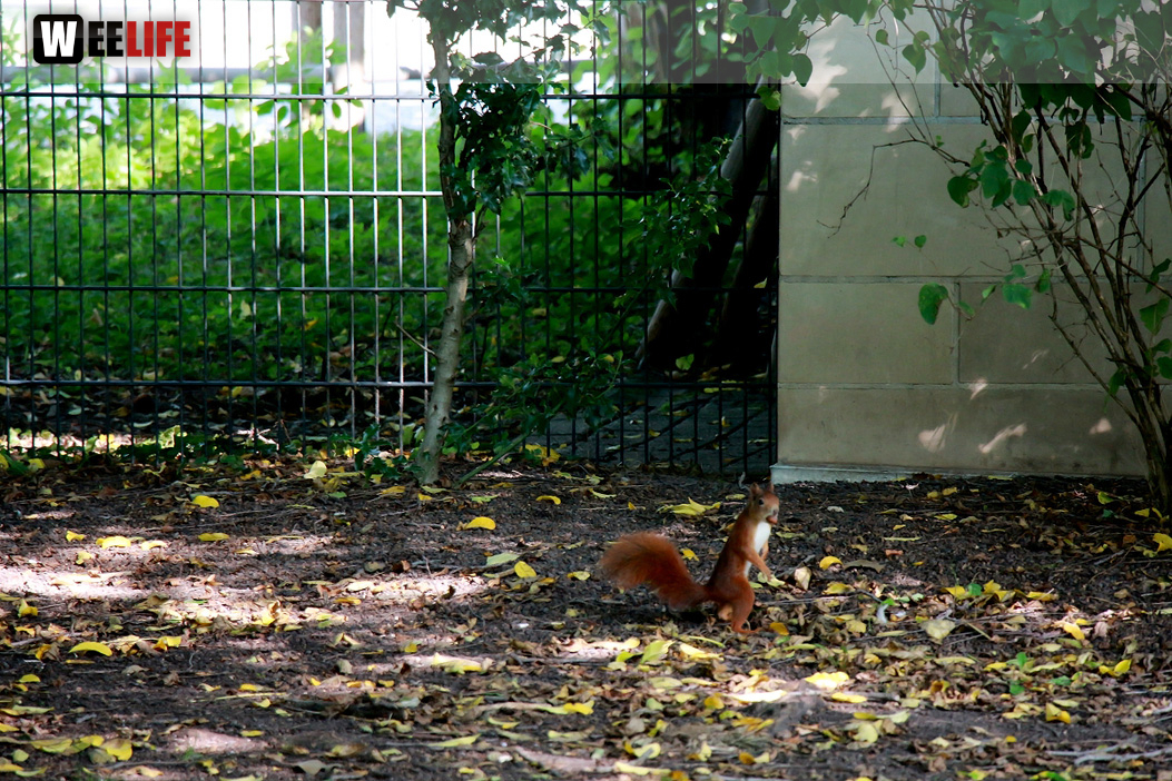 Wilhelma Stuttgart Zoo