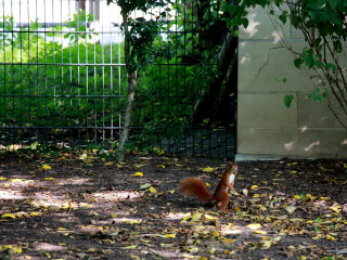 Foto 205404 im Album