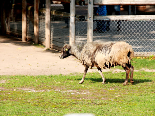 Wilhelma Stuttgart Zoo – Foto 12