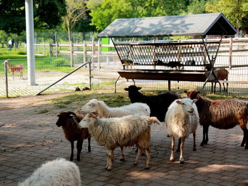 Wilhelma Stuttgart Zoo – Foto 15