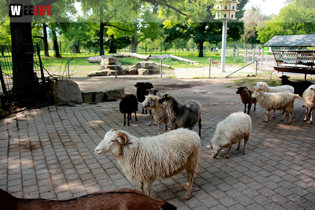 Wilhelma Stuttgart Zoo