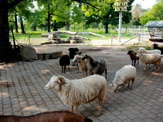 Foto 205409 im Album