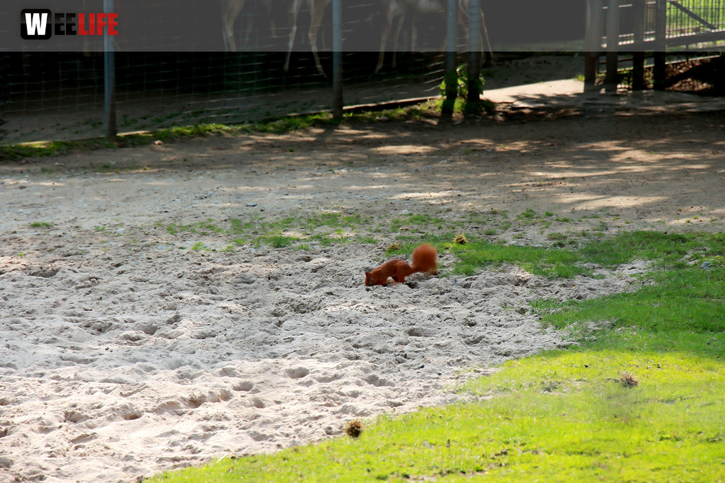 Wilhelma Stuttgart Zoo