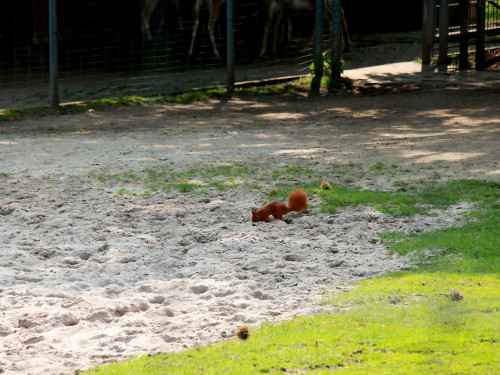 Wilhelma Stuttgart Zoo – Foto 25