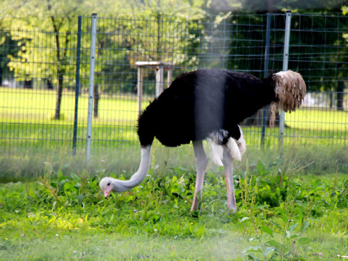 Wilhelma Stuttgart Zoo – Foto 26