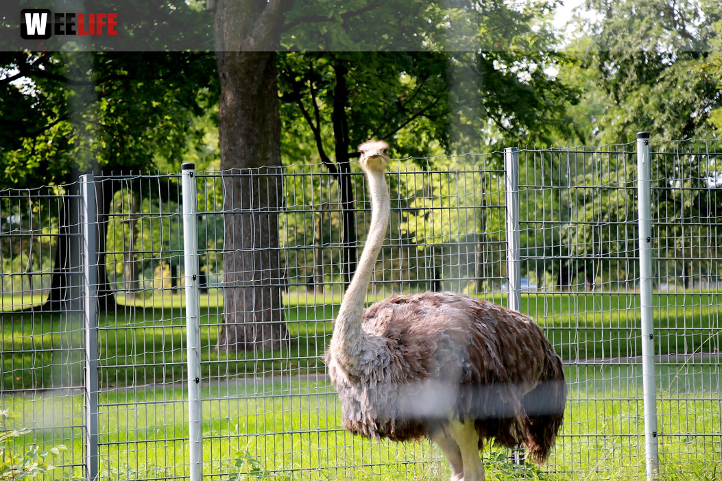 Wilhelma Stuttgart Zoo