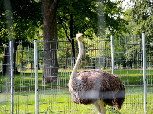 Wilhelma Stuttgart Zoo – Foto 27