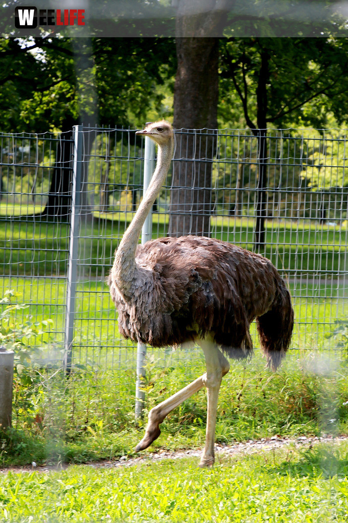 Wilhelma Stuttgart Zoo