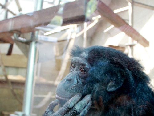 Wilhelma Stuttgart Zoo – Foto 33