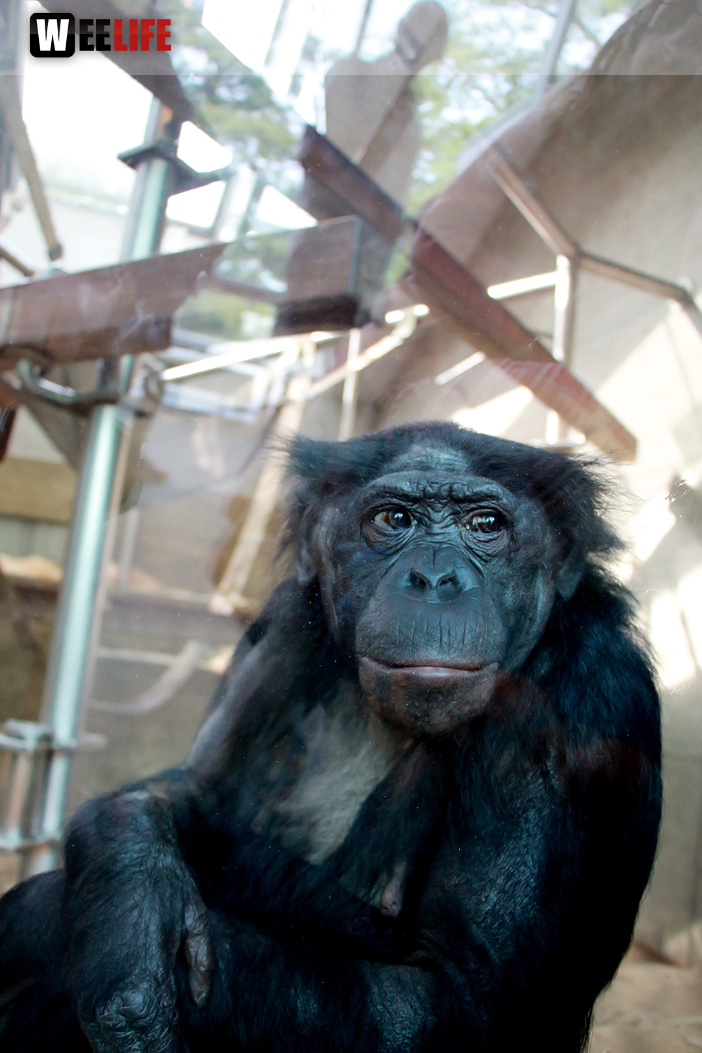 Wilhelma Stuttgart Zoo