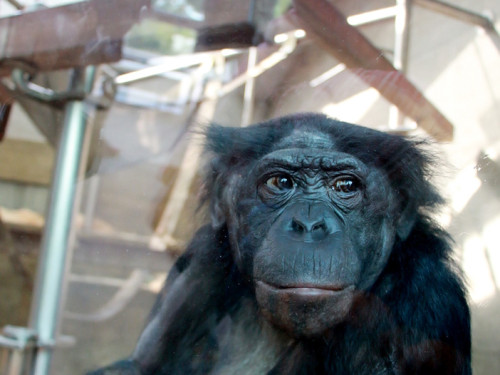 Wilhelma Stuttgart Zoo – Foto 34