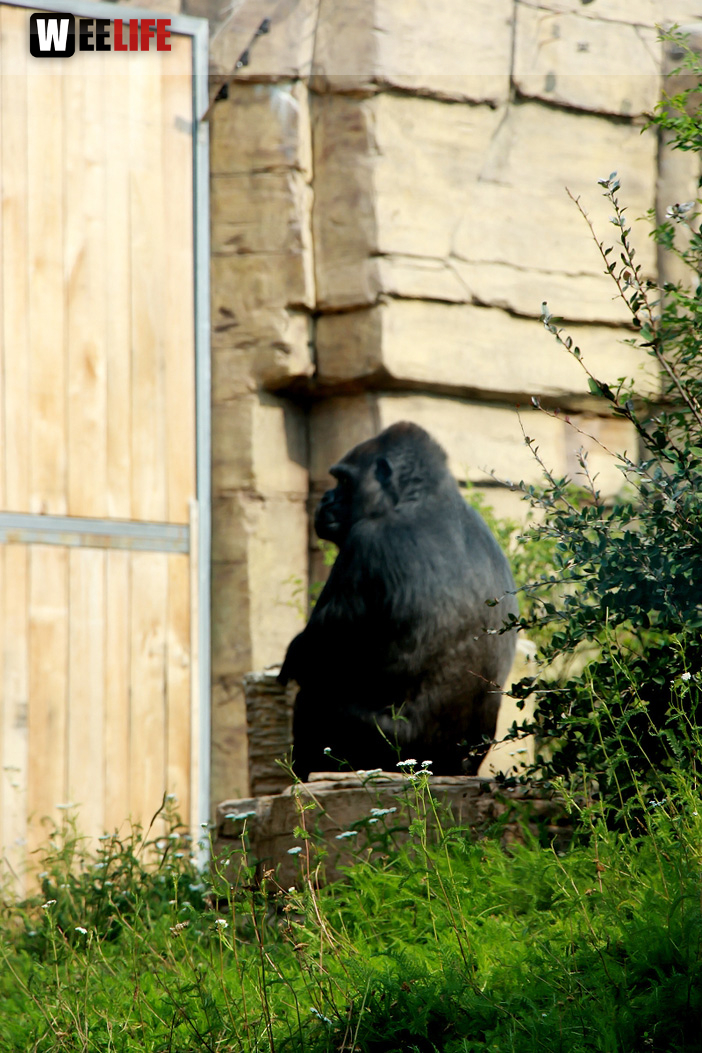 Wilhelma Stuttgart Zoo
