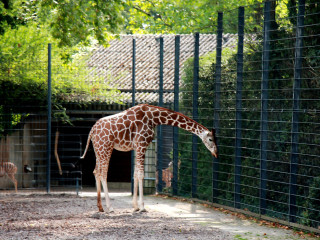 Foto 205433 im Album
