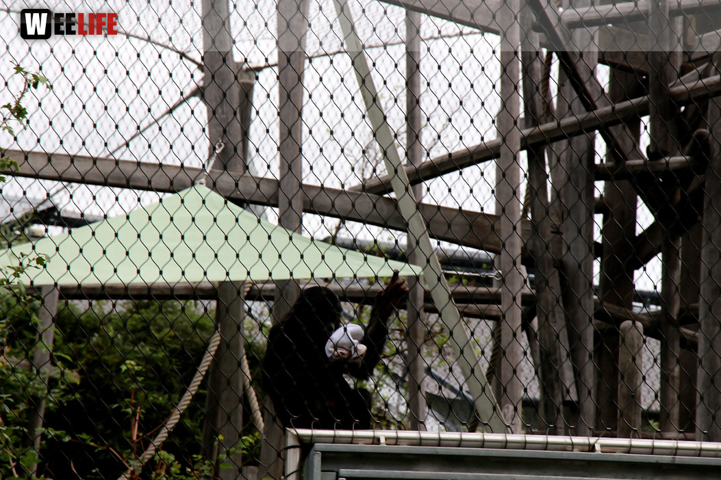 Wilhelma Stuttgart Zoo