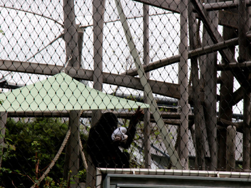 Wilhelma Stuttgart Zoo – Foto 70