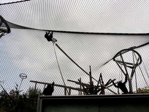 Wilhelma Stuttgart Zoo – Foto 71