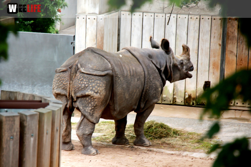 Wilhelma Stuttgart Zoo