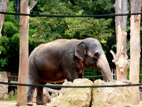 Wilhelma Stuttgart Zoo – Foto 83