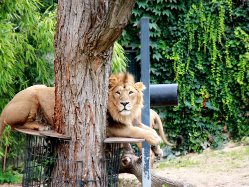 Wilhelma Stuttgart Zoo – Foto 88