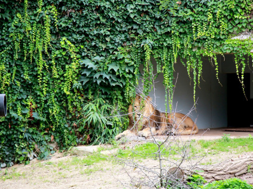 Wilhelma Stuttgart Zoo – Foto 90