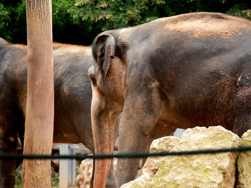 Wilhelma Stuttgart Zoo – Foto 91