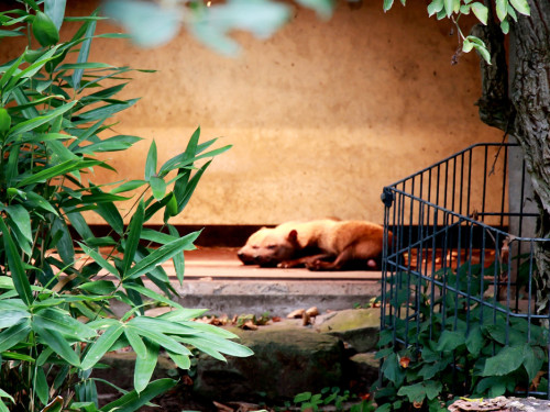 Wilhelma Stuttgart Zoo – Foto 92