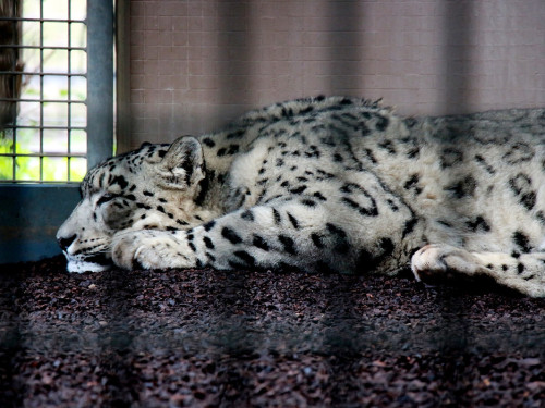 Wilhelma Stuttgart Zoo – Foto 93