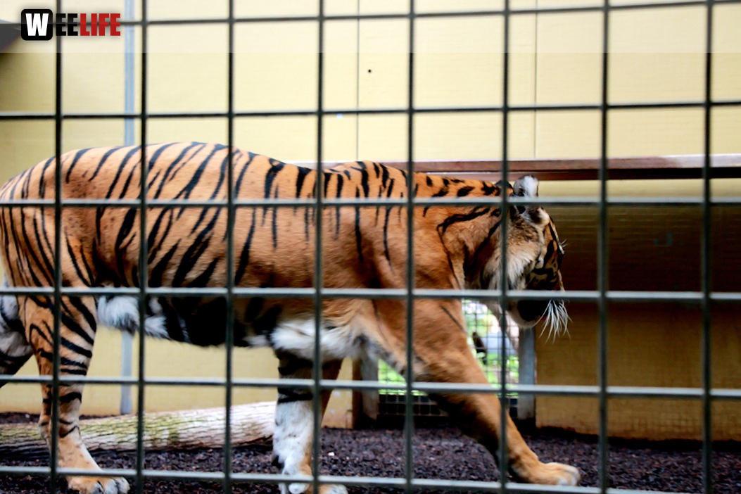 Wilhelma Stuttgart Zoo