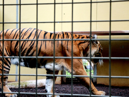 Wilhelma Stuttgart Zoo – Foto 94