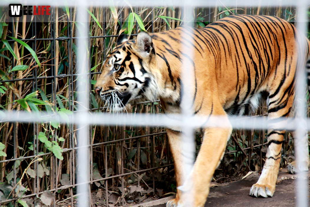 Wilhelma Stuttgart Zoo