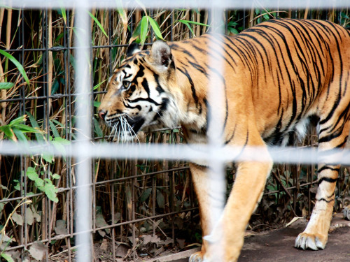 Wilhelma Stuttgart Zoo – Foto 95
