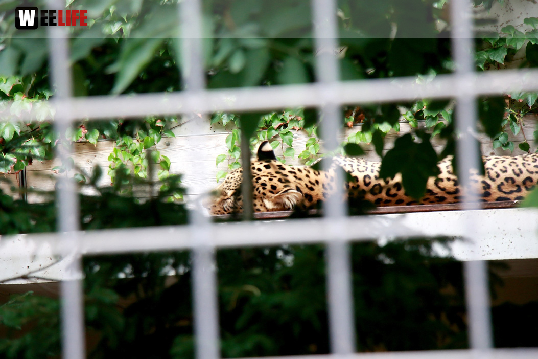 Wilhelma Stuttgart Zoo