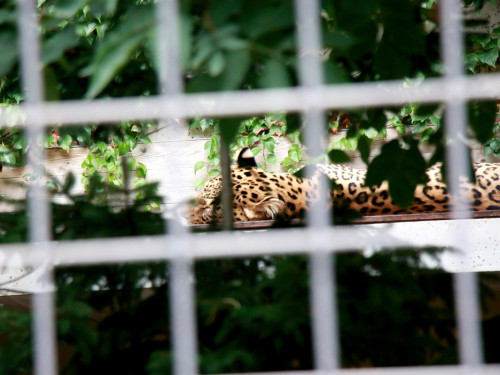 Wilhelma Stuttgart Zoo – Foto 96