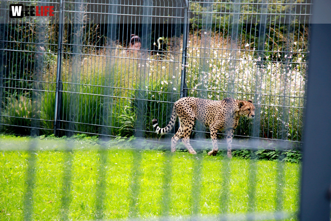 Wilhelma Stuttgart Zoo