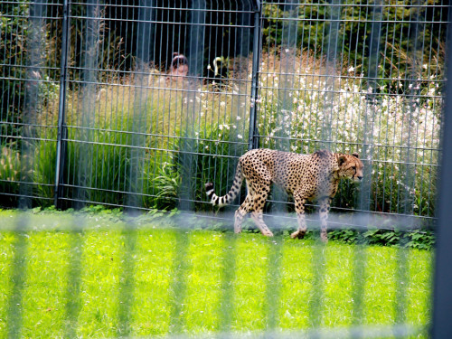 Wilhelma Stuttgart Zoo – Foto 107