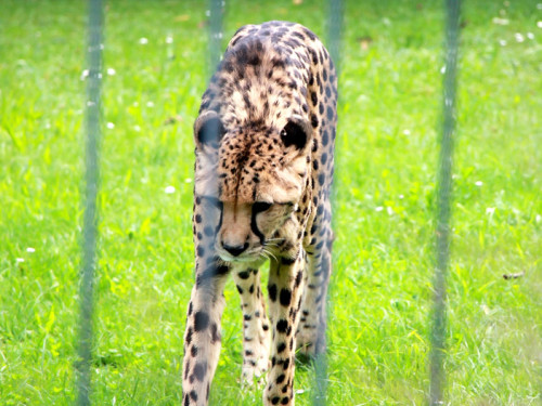 Wilhelma Stuttgart Zoo – Foto 109