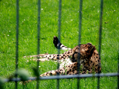 Wilhelma Stuttgart Zoo – Foto 111