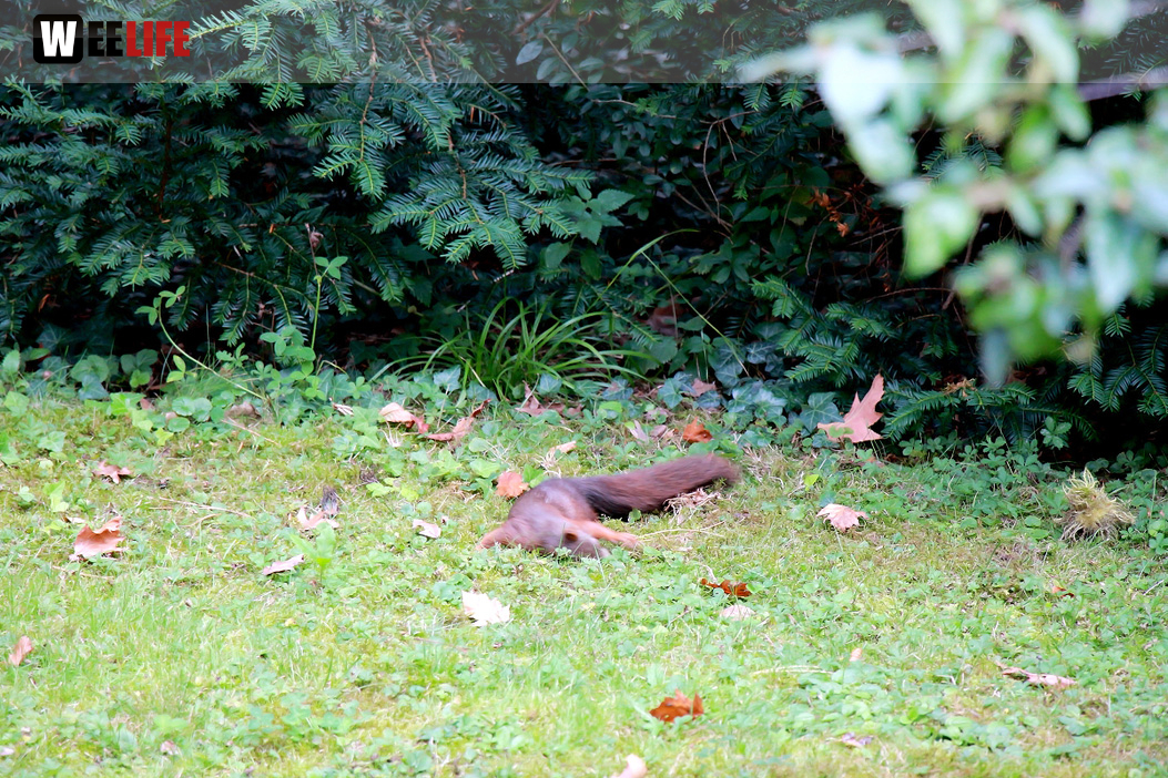 Wilhelma Stuttgart Zoo
