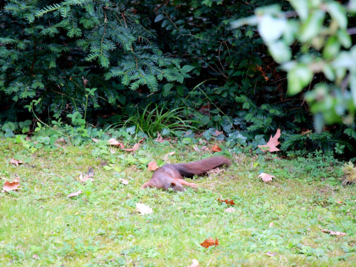 Wilhelma Stuttgart Zoo – Foto 112