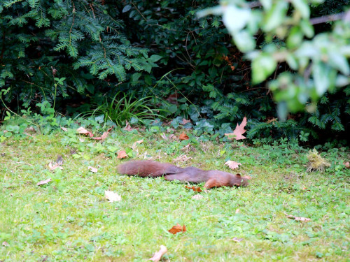 Wilhelma Stuttgart Zoo – Foto 113