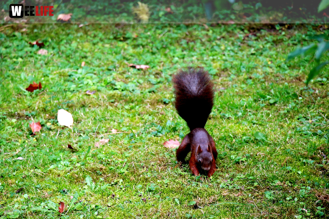 Wilhelma Stuttgart Zoo