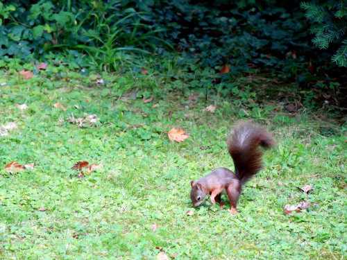 Wilhelma Stuttgart Zoo – Foto 116