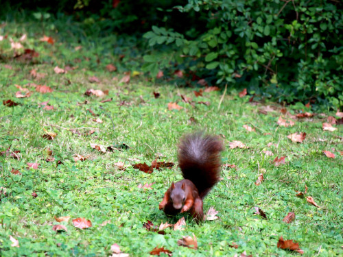 Wilhelma Stuttgart Zoo – Foto 118
