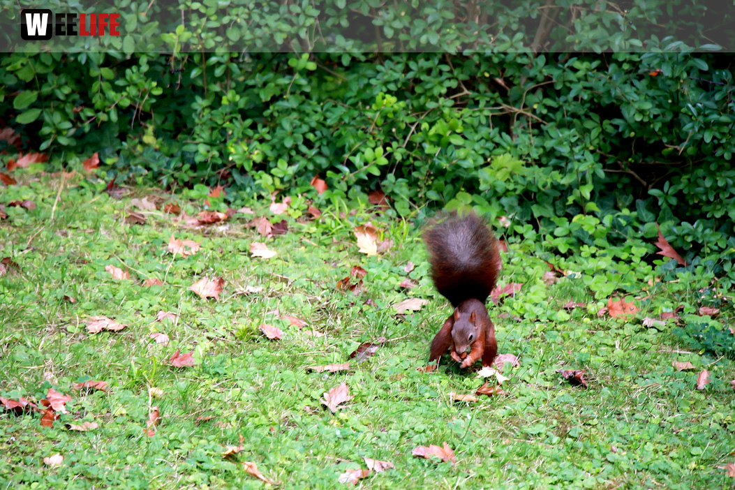 Wilhelma Stuttgart Zoo